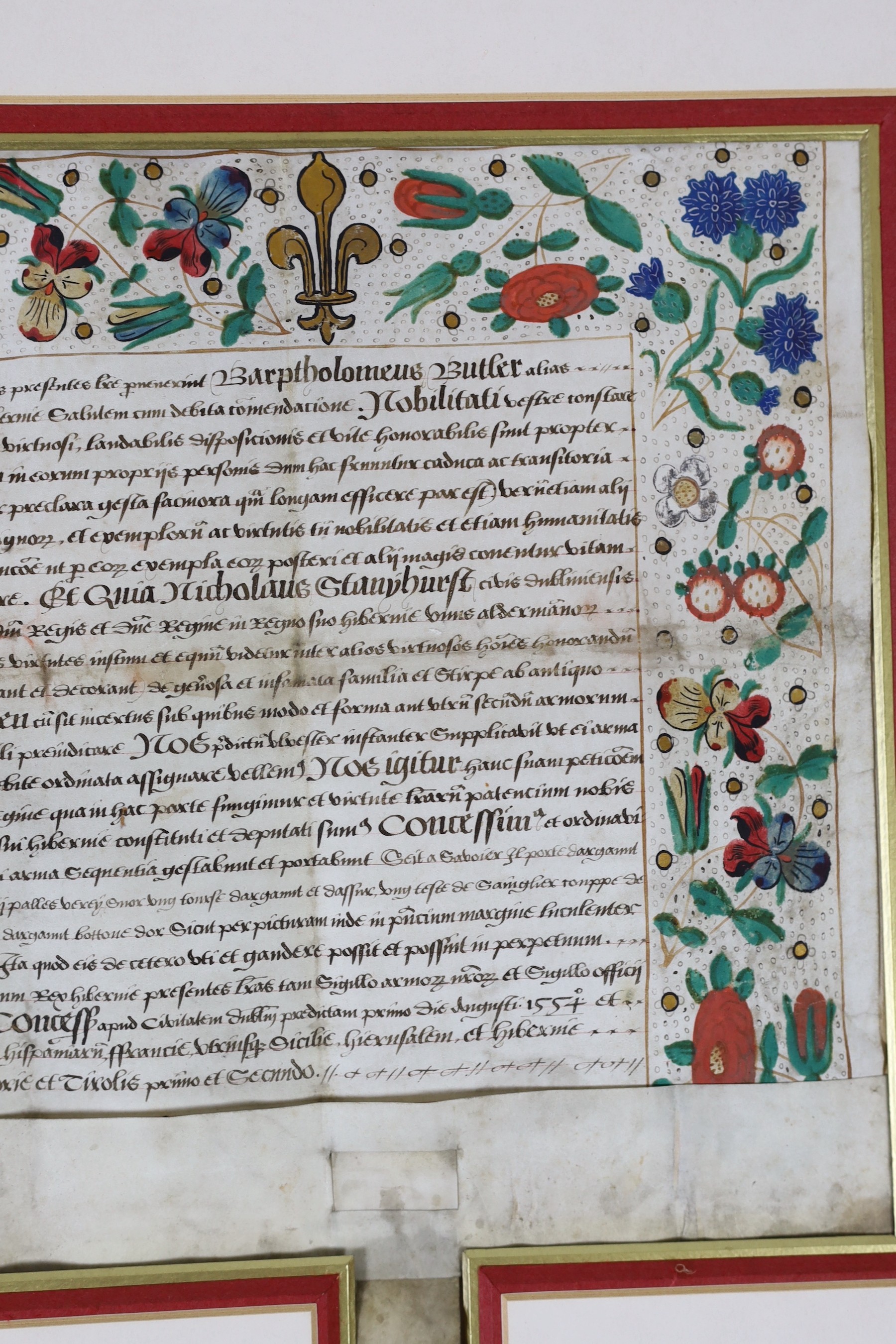 A Grant of Arms to Nicholas Stanyhurst of Dublin; 1 August 1554 30 x 57cm